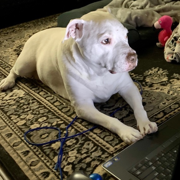 Meet your Posher, Andrea - Picture 7 of 9